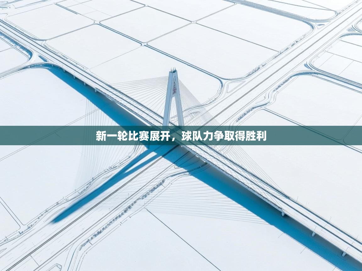 新一轮比赛展开，球队力争取得胜利  第1张