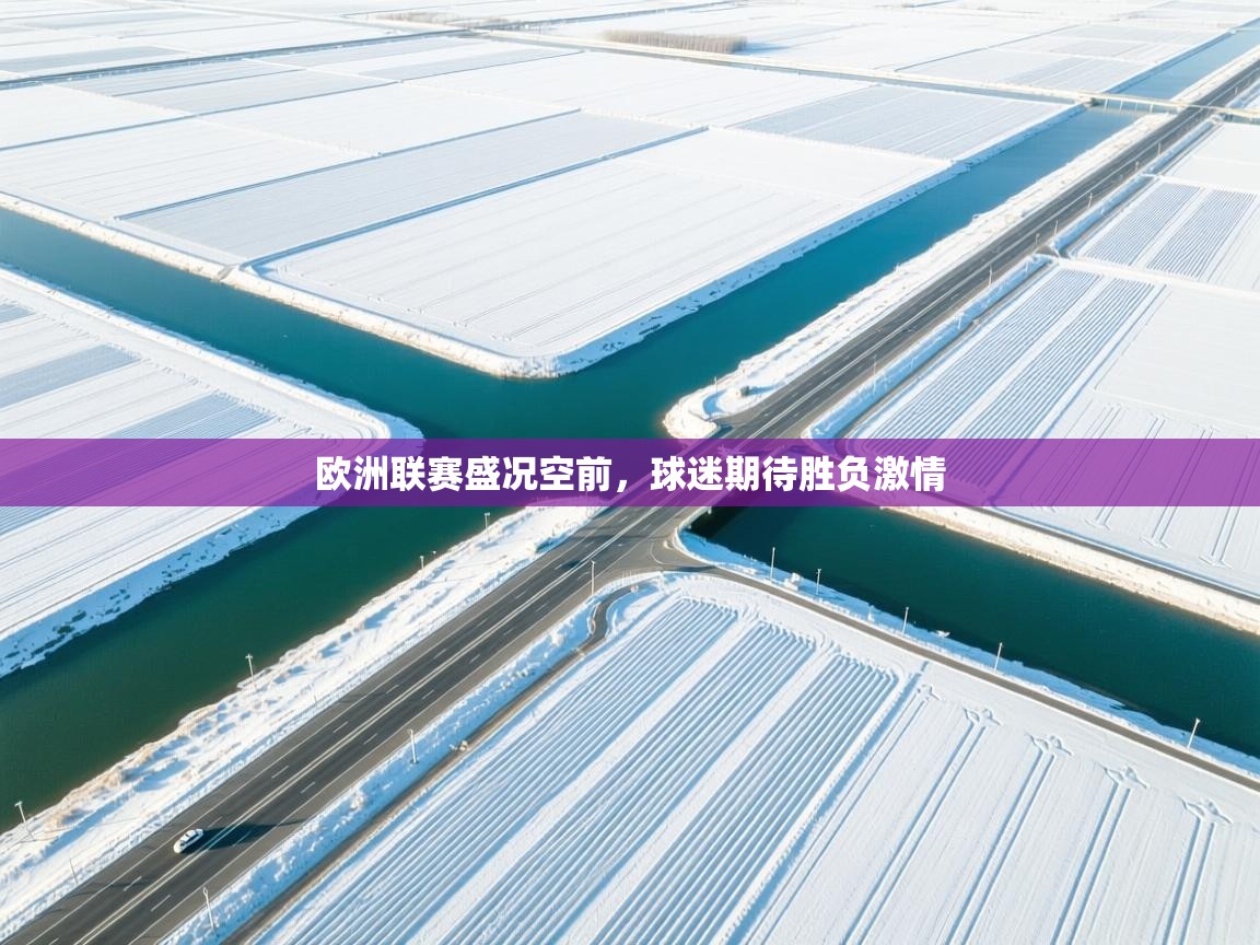 欧洲联赛盛况空前，球迷期待胜负激情  第2张