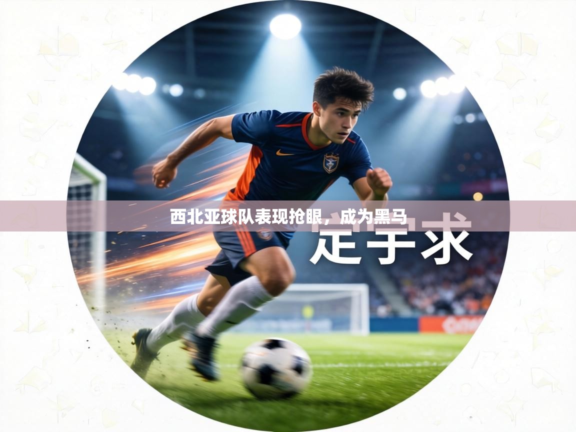 西北亚球队表现抢眼,成为黑马 第2张
