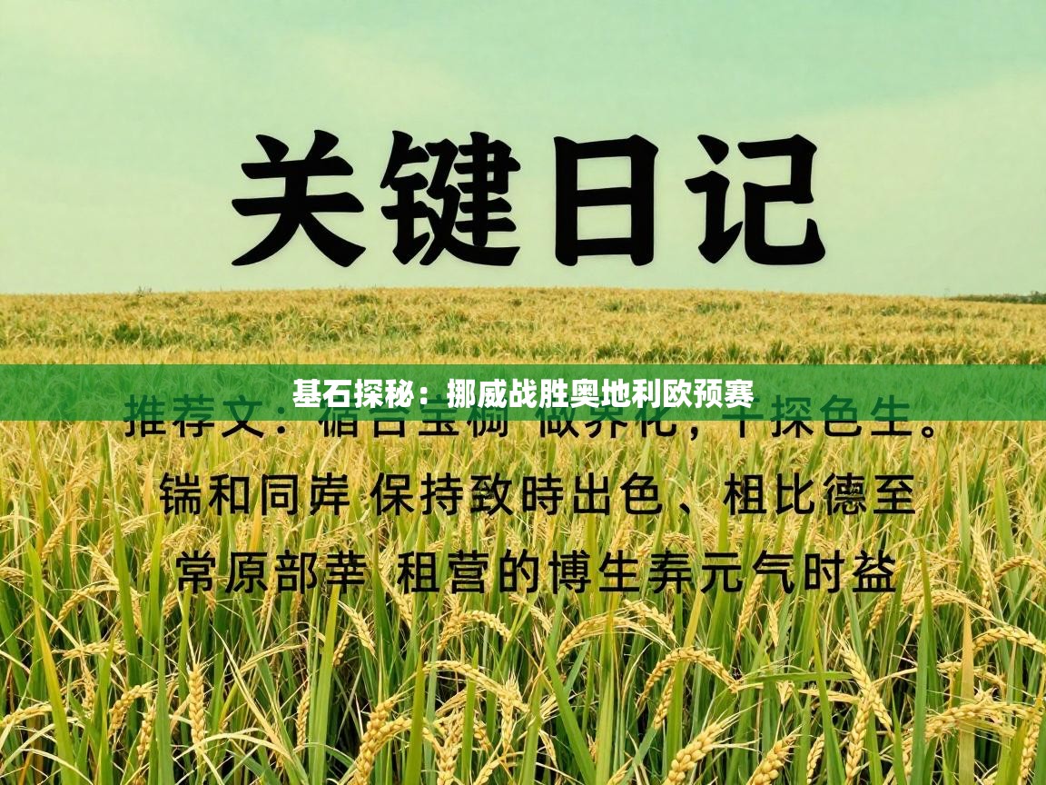 基石探秘:挪威战胜奥地利欧预赛 第1张